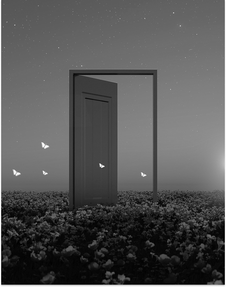 Portfolio Image